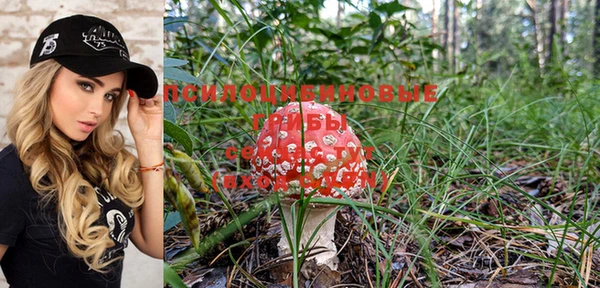 МДПВ Няндома