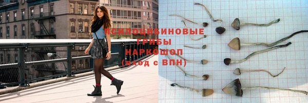 a pvp Гусь-Хрустальный