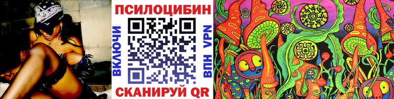 Псилоцибиновые грибы Cubensis  ссылка на мегу как войти  Пионерский 